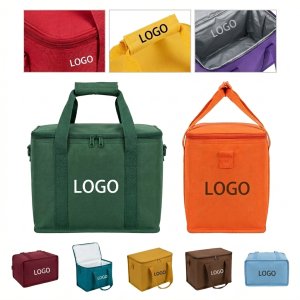 Multi-Color Insulated Lunch & Picnic Cooler Bag with Ice Pack